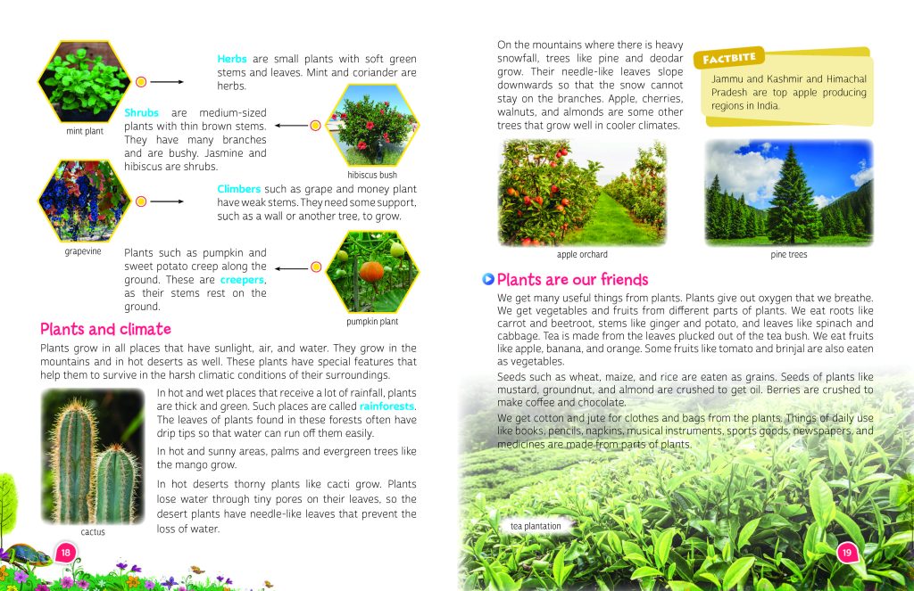 Wonder World_Grade 3_Ch-3