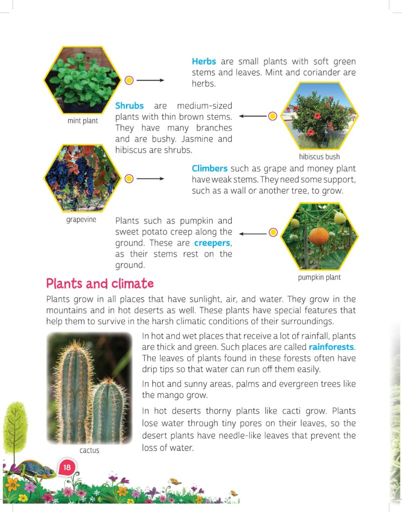 Wonder world Grade 3_Pg. 1