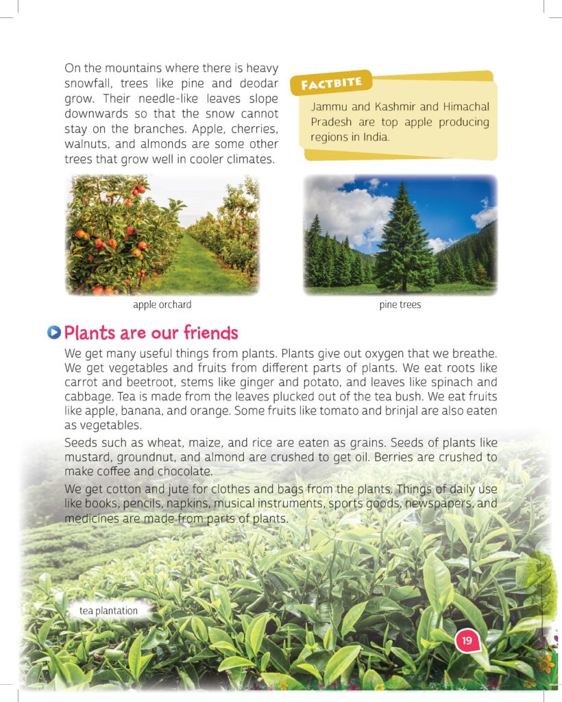 Wonder world Grade 3_Pg. 2